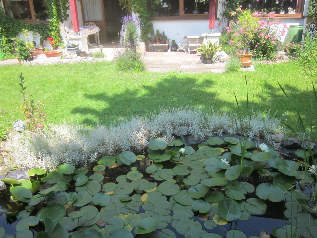 Ferienwohnung Steinbauer Opfenbach ภายนอก รูปภาพ